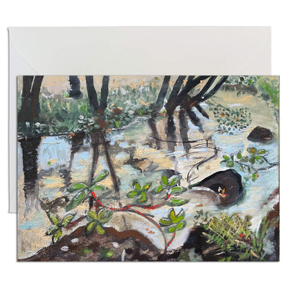 Australian Beaches, Rivers & Creeks - Landscape Greeting Card Pack